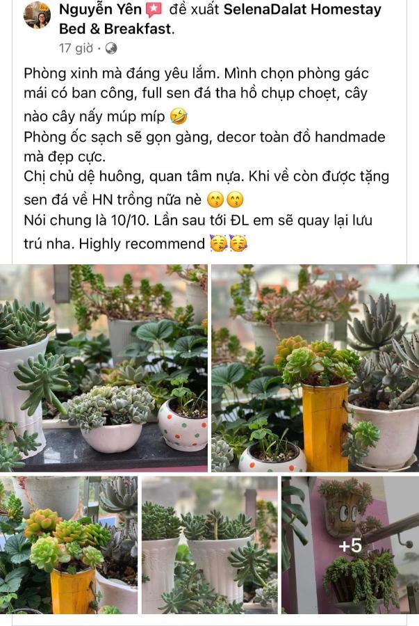 Selena Dalat Homestay Kültér fotó