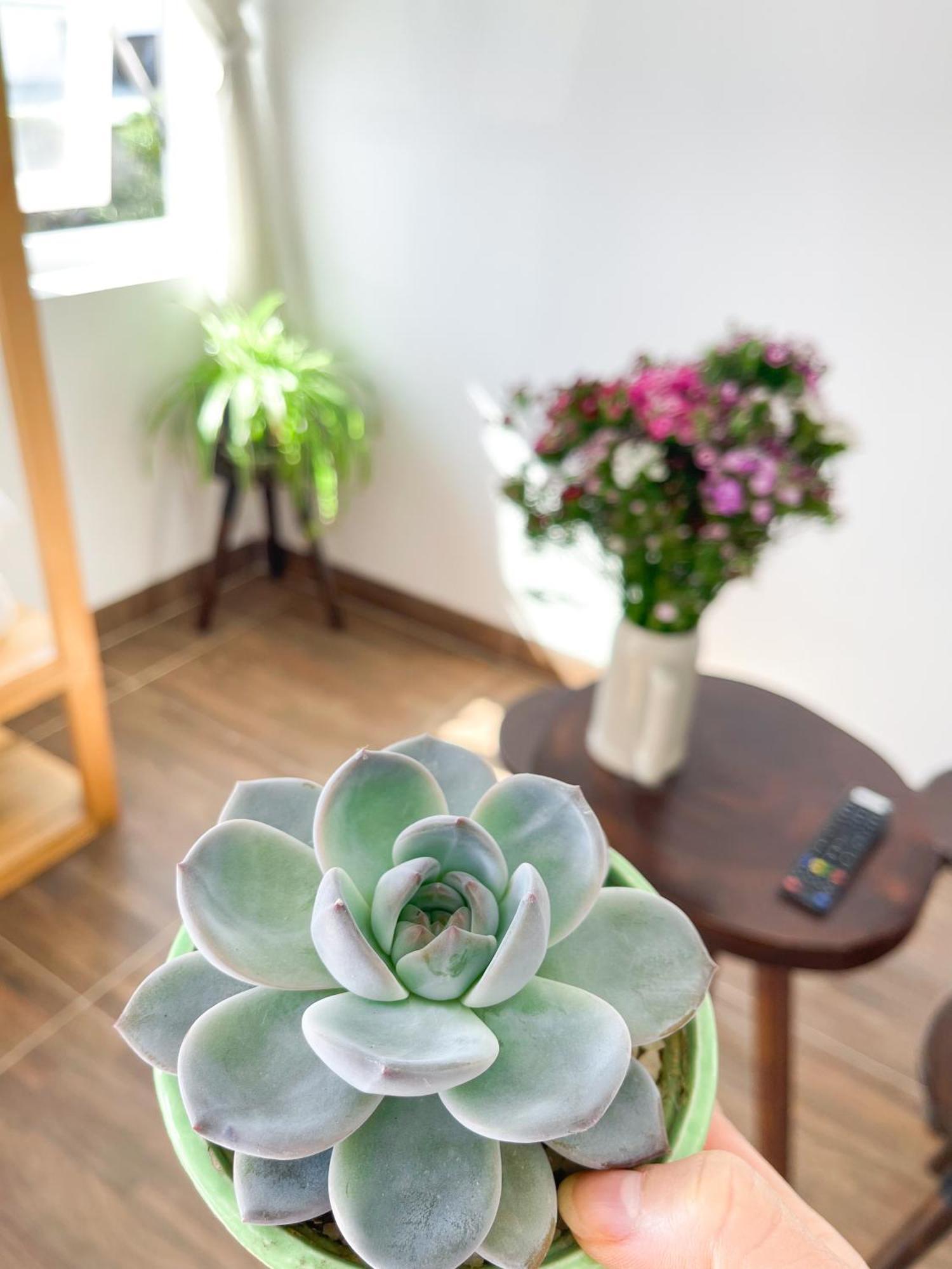 Selena Dalat Homestay Szoba fotó